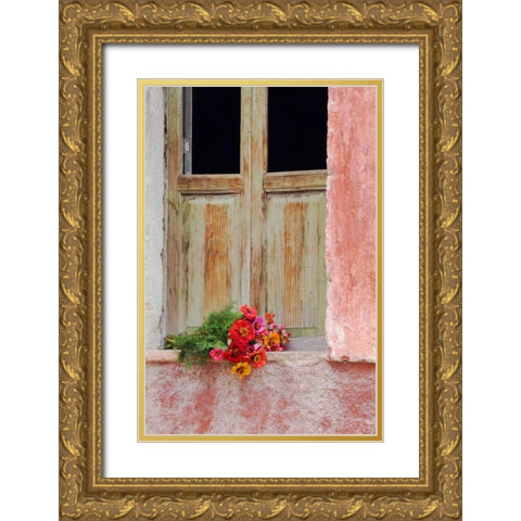 Mexico Zinnias outside window frame Gold Ornate Wood Framed Art Print with Double Matting by Rotenberg, Nancy