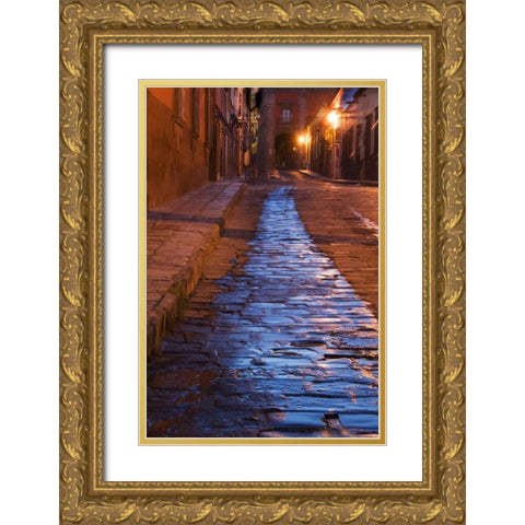 Mexico Lanterns reflect on cobblestone street Gold Ornate Wood Framed Art Print with Double Matting by Rotenberg, Nancy