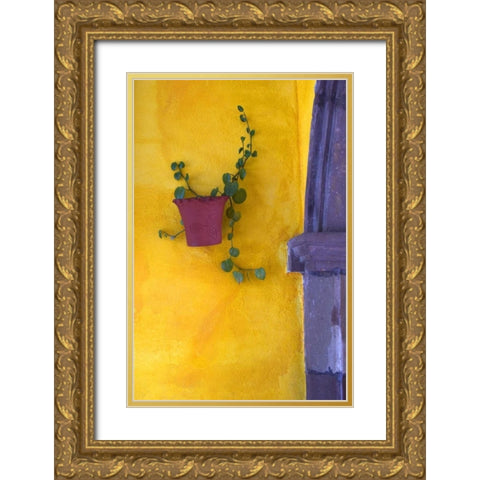 Mexico, San Miguel de Allende Planted pot Gold Ornate Wood Framed Art Print with Double Matting by Rotenberg, Nancy
