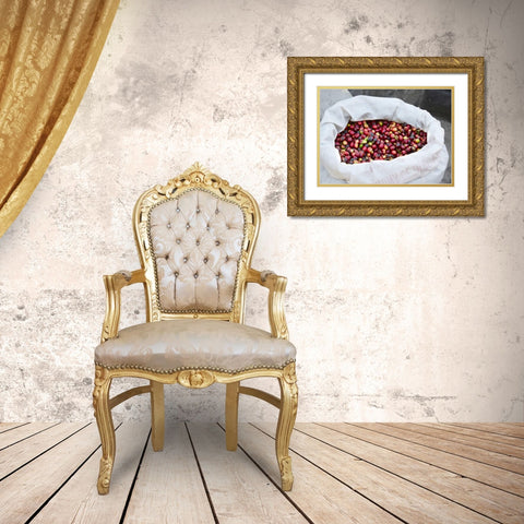 Mexico, Sierra Madre Mts Raw coffee beans in bag Gold Ornate Wood Framed Art Print with Double Matting by Ross, Steve