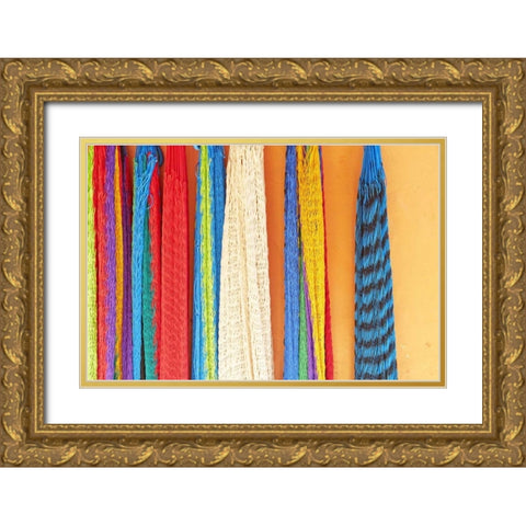 Mexico, Jalisco Hammocks sold by street vendors Gold Ornate Wood Framed Art Print with Double Matting by Ross, Steve