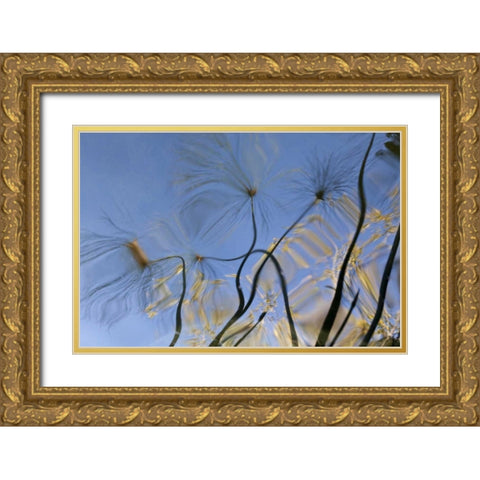 Mexico, Baja California, Tecate Pool reflection Gold Ornate Wood Framed Art Print with Double Matting by Paulson, Don