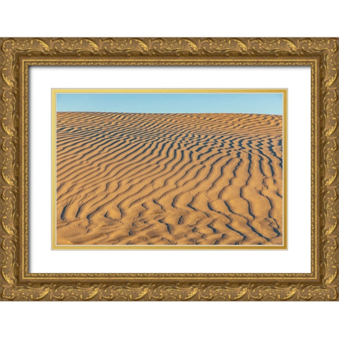 Guerrero Negro- Mulege- Baja California Sur- Mexico. Sand dunes at sunset along the western coast. Gold Ornate Wood Framed Art Print with Double Matting by Wilson, Emily M.