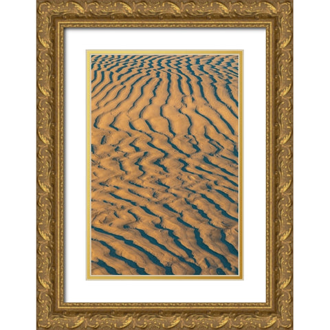 Guerrero Negro- Mulege- Baja California Sur- Mexico. Sand dunes at sunset along the western coast. Gold Ornate Wood Framed Art Print with Double Matting by Wilson, Emily M.