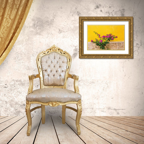 Plant against wall in Tlaquepaque-near Guadalajara-Jalisco-Mexico Gold Ornate Wood Framed Art Print with Double Matting by DeFreitas, Michael