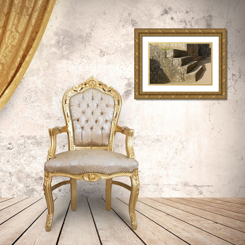 Peru, Machu Picchu, Four stone steps Gold Ornate Wood Framed Art Print with Double Matting by Kirkland, Dennis