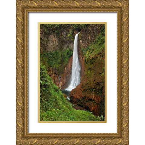 Catarata Del Toro Waterfall-in the mountains of Bajos del Toro Amarillo-Sarchi-Costa Rica Gold Ornate Wood Framed Art Print with Double Matting by Jones, Adam