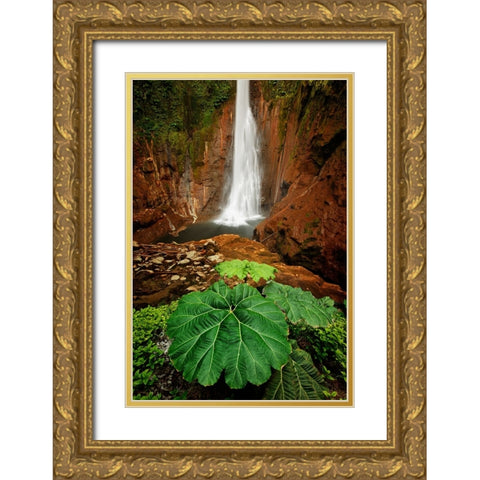 Catarata Del Toro Waterfall-in the mountains of Bajos del Toro Amarillo-Sarchi-Costa Rica Gold Ornate Wood Framed Art Print with Double Matting by Jones, Adam