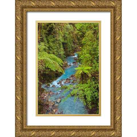 Small stream or creek-Costa Rica Gold Ornate Wood Framed Art Print with Double Matting by Jones, Adam