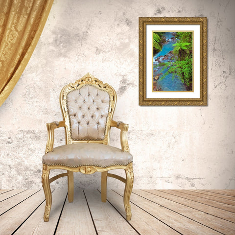 Small stream or creek-Costa Rica Gold Ornate Wood Framed Art Print with Double Matting by Jones, Adam