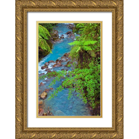 Small stream or creek-Costa Rica Gold Ornate Wood Framed Art Print with Double Matting by Jones, Adam