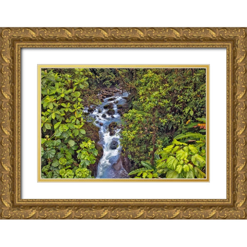 Small stream or creek-Costa Rica Gold Ornate Wood Framed Art Print with Double Matting by Jones, Adam