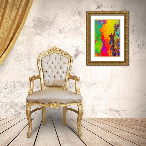 Abstract pattern in oil spilled in small stream-Costa Rica Gold Ornate Wood Framed Art Print with Double Matting by Jones, Adam