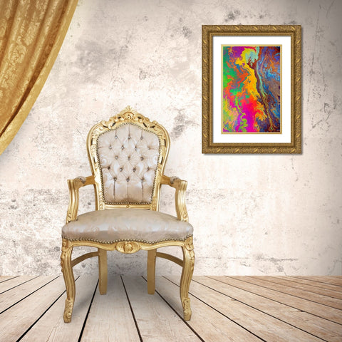 Abstract pattern in oil spilled in small stream-Costa Rica Gold Ornate Wood Framed Art Print with Double Matting by Jones, Adam