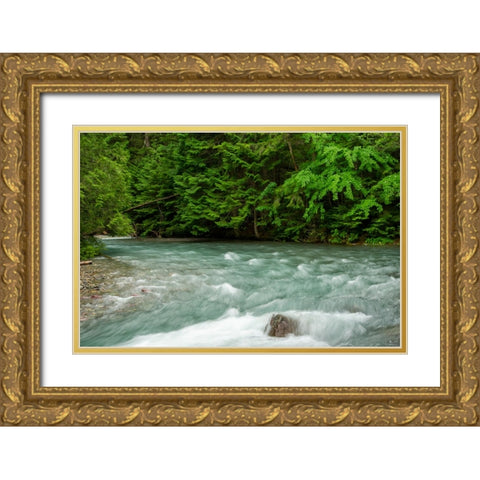 Costa Rica blue river Gold Ornate Wood Framed Art Print with Double Matting by Theodore, George and Marilu