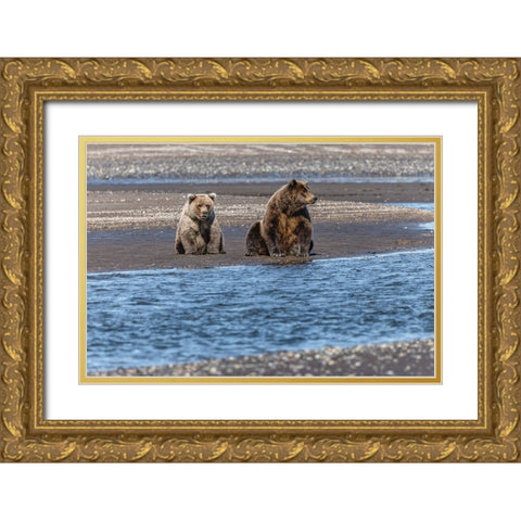 Adult female grizzly bear and cub fishing-Lake Clark National Park and Preserve-Alaska Gold Ornate Wood Framed Art Print with Double Matting by Jones, Adam