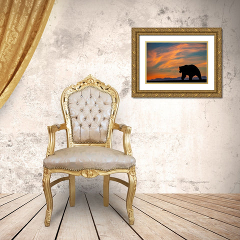 Adult grizzly bear silhouetted on beach at sunrise-Lake Clark National Park and Preserve Gold Ornate Wood Framed Art Print with Double Matting by Jones, Adam