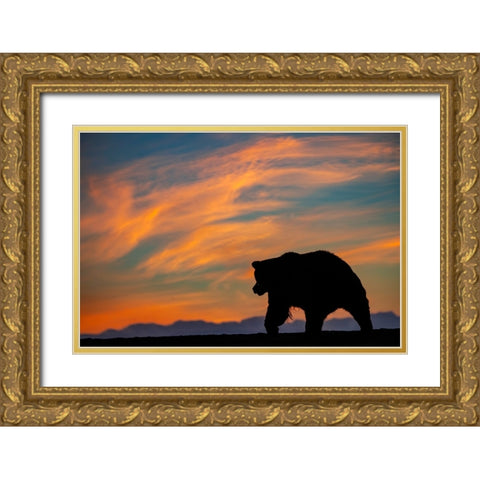 Adult grizzly bear silhouetted on beach at sunrise-Lake Clark National Park and Preserve Gold Ornate Wood Framed Art Print with Double Matting by Jones, Adam