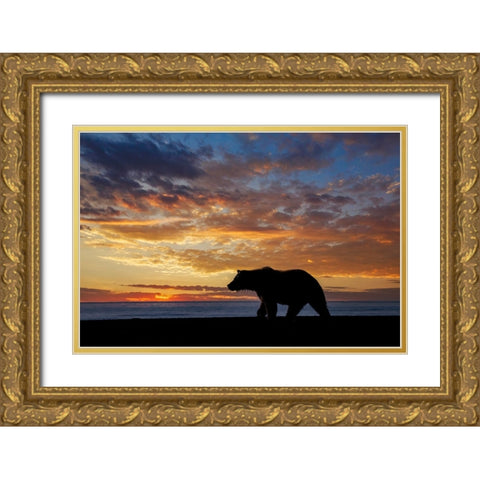 Adult grizzly bear silhouetted at sunrise-Lake Clark National Park and Preserve-Alaska Gold Ornate Wood Framed Art Print with Double Matting by Jones, Adam