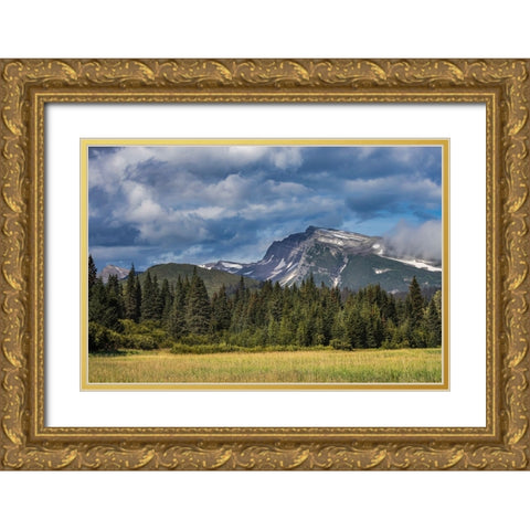Meadow and mountains at Silver Salmon Creek-Lake Clark National Park and Preserve-Alaska Gold Ornate Wood Framed Art Print with Double Matting by Jones, Adam