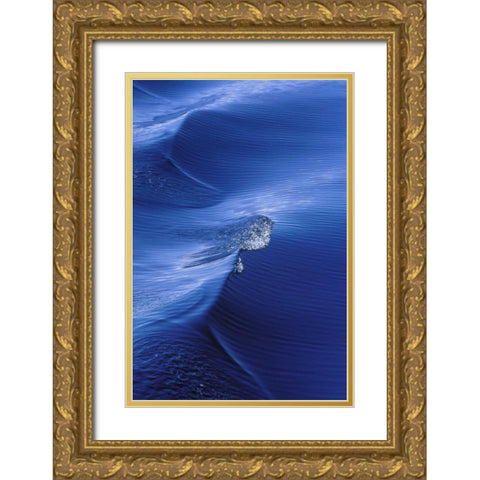 AK, Inside Passage, Pattern from wake behind boat Gold Ornate Wood Framed Art Print with Double Matting by Rotenberg, Nancy