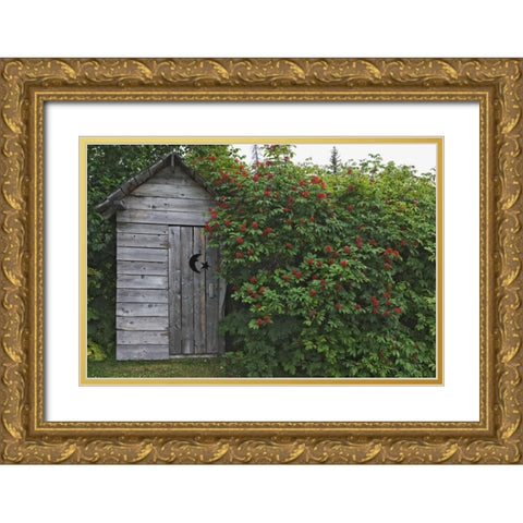 AK, Homer An outhouse with elderberries Gold Ornate Wood Framed Art Print with Double Matting by Flaherty, Dennis