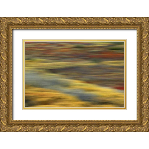AK, Denali NP Abstract blur of autumn tundra Gold Ornate Wood Framed Art Print with Double Matting by Morris, Arthur
