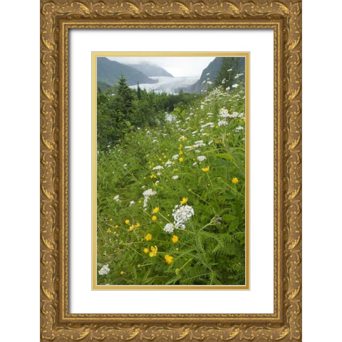 Alaska flowers with Mendenhall Glacier Gold Ornate Wood Framed Art Print with Double Matting by Rotenberg, Nancy