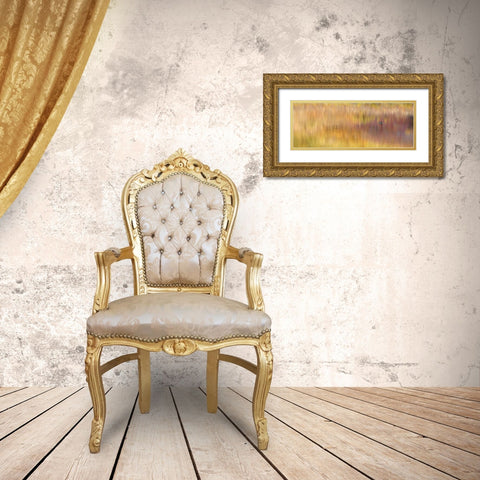 AK, Denali NP Duck with reed reflections Gold Ornate Wood Framed Art Print with Double Matting by Morris, Arthur