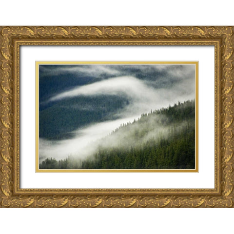 AK, Inside Passage Fog pattern over a mountain Gold Ornate Wood Framed Art Print with Double Matting by Rotenberg, Nancy