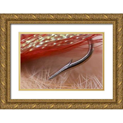 AK, Lake Clark NP Macro of a fishing hook Gold Ornate Wood Framed Art Print with Double Matting by Kaveney, Wendy