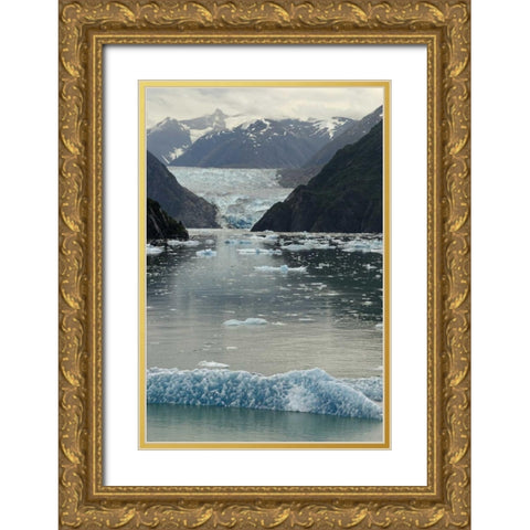 Alaska, Tracey Arm View of South Sawyer Glacier Gold Ornate Wood Framed Art Print with Double Matting by Ross, Nancy ,  Steve