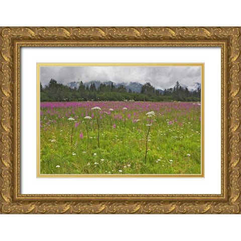AK, Seward Fireweed and cow parsnip in bloom Gold Ornate Wood Framed Art Print with Double Matting by Flaherty, Dennis