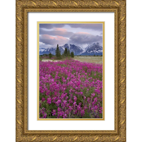 Alaska View of flowers and Fairweather Range Gold Ornate Wood Framed Art Print with Double Matting by Paulson, Don