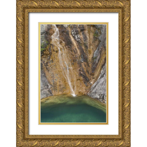 AK, Alsek River Valley Waterfall forms pool Gold Ornate Wood Framed Art Print with Double Matting by Paulson, Don