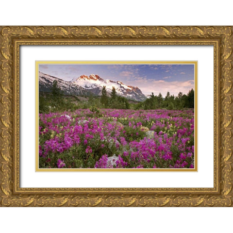 Alaska View of flowers and Fairweather Range Gold Ornate Wood Framed Art Print with Double Matting by Paulson, Don