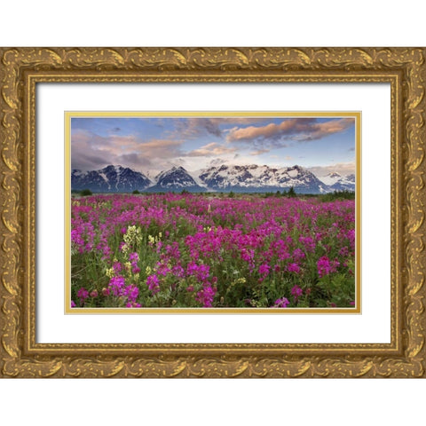 Alaska View of flowers and Fairweather Range Gold Ornate Wood Framed Art Print with Double Matting by Paulson, Don