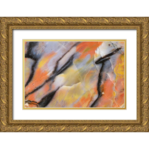 USA, Arizona Close-up of petrified wood Gold Ornate Wood Framed Art Print with Double Matting by Kirkland, Dennis