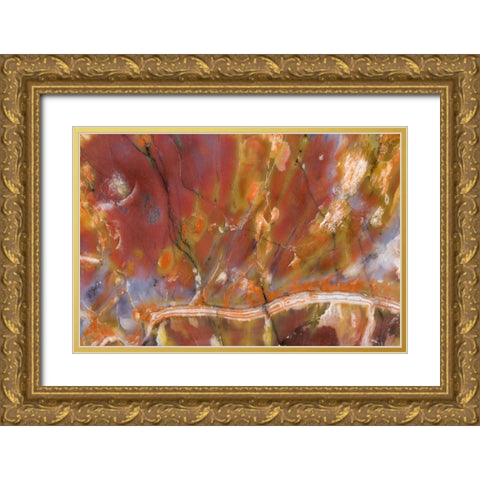 USA, Arizona Close-up of petrified wood Gold Ornate Wood Framed Art Print with Double Matting by Kirkland, Dennis