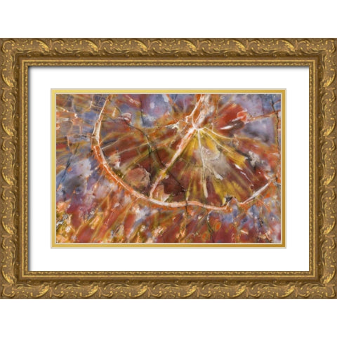 USA, Arizona Close-up of petrified wood Gold Ornate Wood Framed Art Print with Double Matting by Kirkland, Dennis