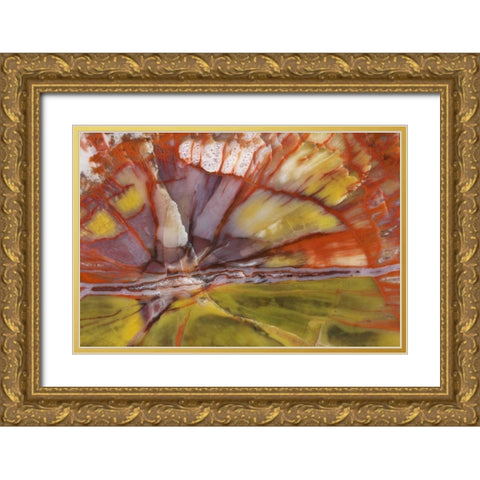 USA, Arizona Close-up of petrified wood Gold Ornate Wood Framed Art Print with Double Matting by Kirkland, Dennis