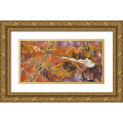 USA, Arizona Close-up of petrified wood Gold Ornate Wood Framed Art Print with Double Matting by Kirkland, Dennis