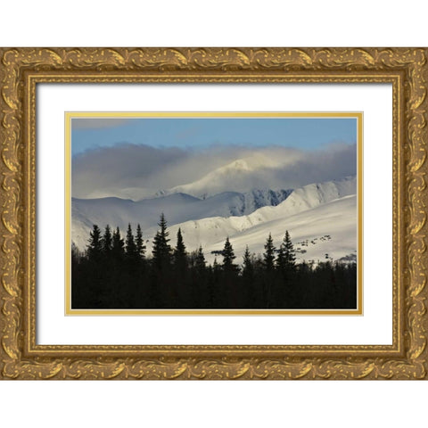 AK, Snowy kenai mountains along Turnagain Pass Gold Ornate Wood Framed Art Print with Double Matting by Grall, Don
