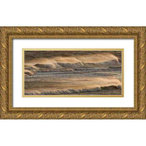 AK, Kachemak Bay Breaking waves at sunset Gold Ornate Wood Framed Art Print with Double Matting by Grall, Don