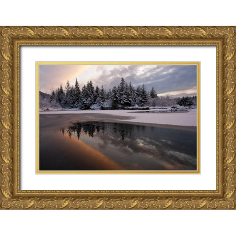 AK, Mendenhall Glacier Sunset reflection Gold Ornate Wood Framed Art Print with Double Matting by Illg, Cathy and Gordon