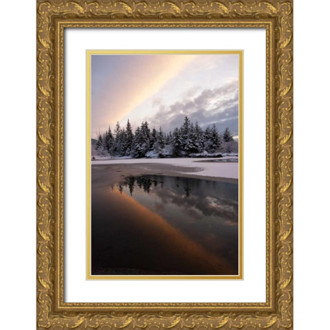AK, Mendenhall Glacier Sunset reflection Gold Ornate Wood Framed Art Print with Double Matting by Illg, Cathy and Gordon