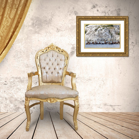 AK, Glacier Bay NP Resting Steller sea lions Gold Ornate Wood Framed Art Print with Double Matting by Paulson, Don