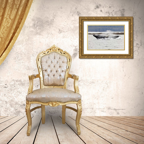 AK, Frederick Sound Humpback whale lunging Gold Ornate Wood Framed Art Print with Double Matting by Paulson, Don