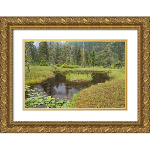 Alaska, Admiralty Island Pond and forest Gold Ornate Wood Framed Art Print with Double Matting by Paulson, Don