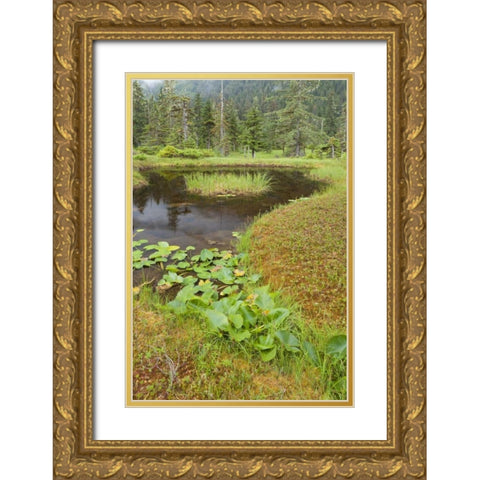 Alaska, Admiralty Island Pond and forest Gold Ornate Wood Framed Art Print with Double Matting by Paulson, Don